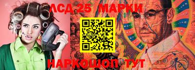 гидра Кандалакша