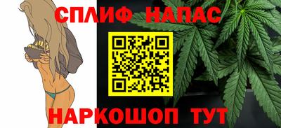 гидра Кандалакша