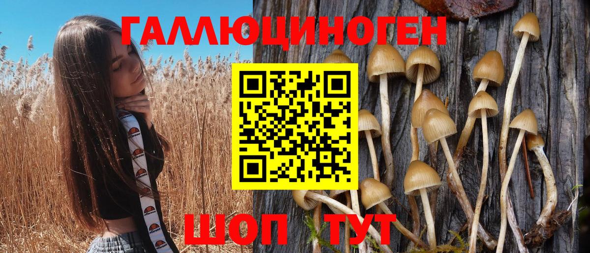 Псилоцибиновые грибы Psilocybine cubensis  Вход с VPN  Красноуфимск  Галлюциногенные грибы Cubensis 
